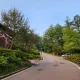 알로하