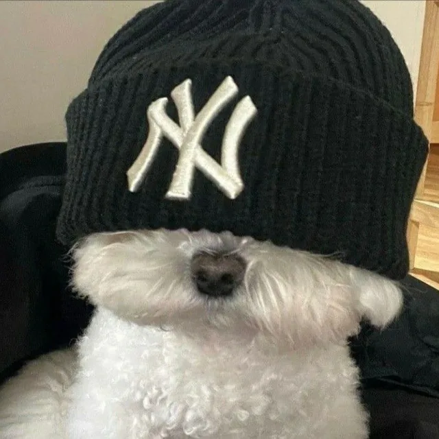 우라왕