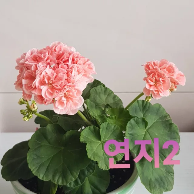 가을하늘