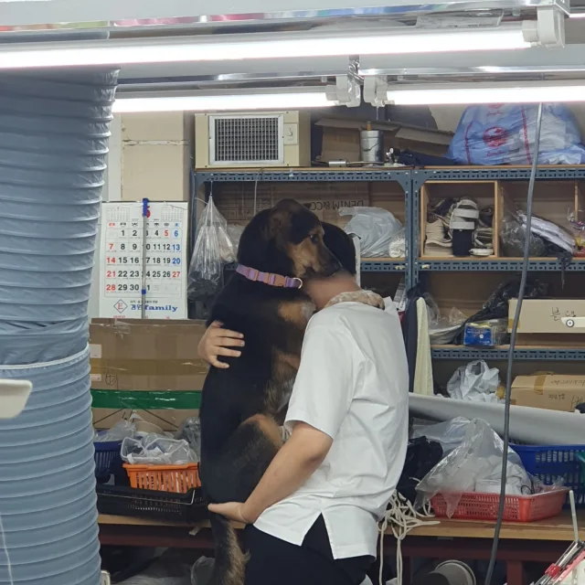 박슬아