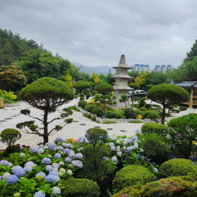 밤의황제