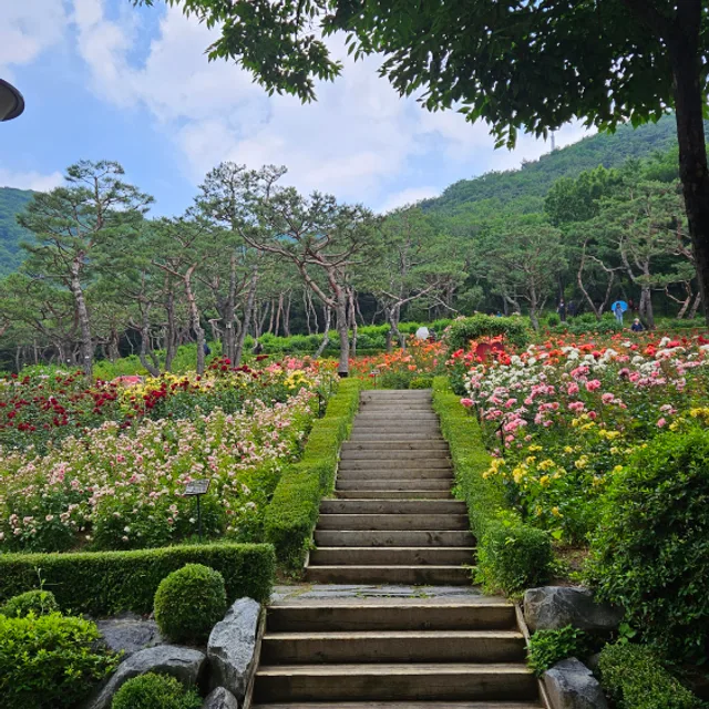 겨울바다