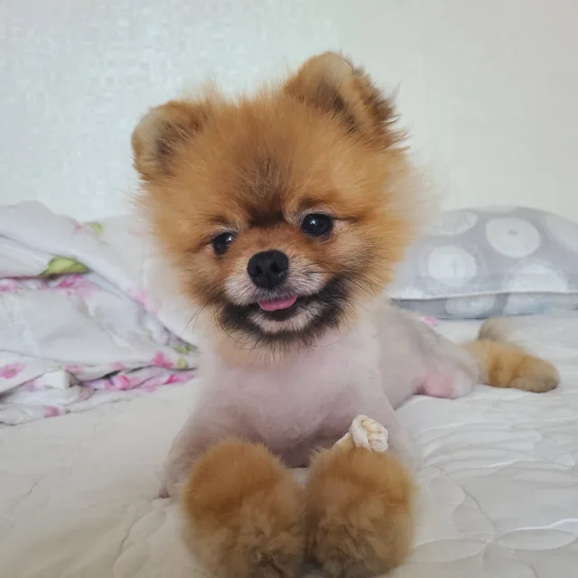 쿠리누나