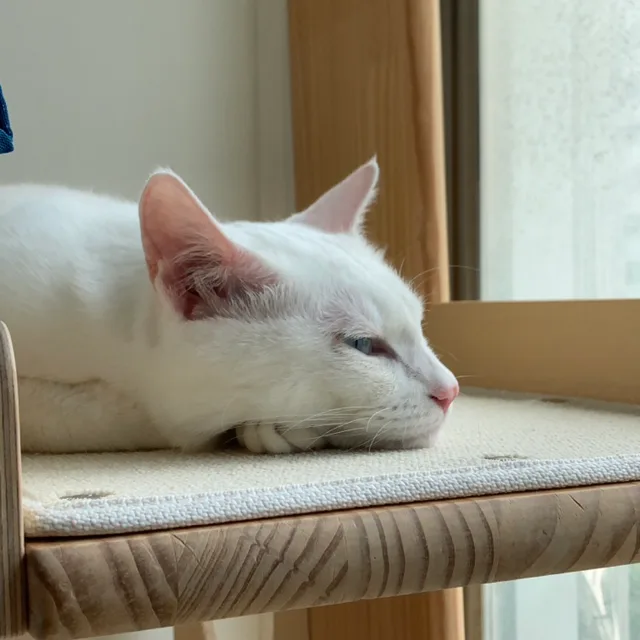 뭉크