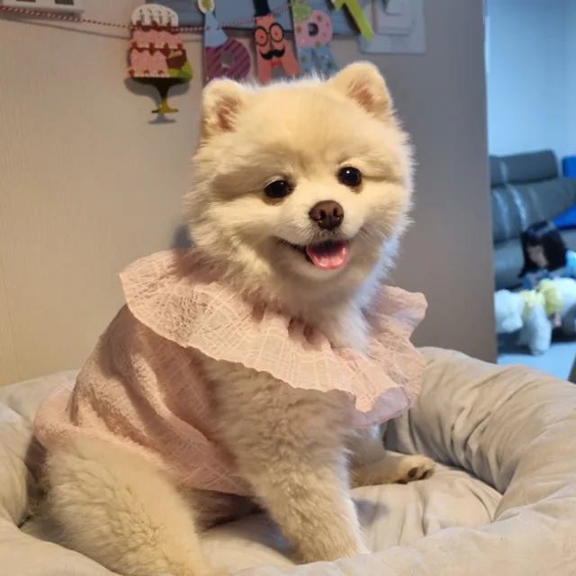블루스카이
