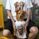 줄문희