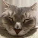이브잉