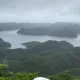 테리맘