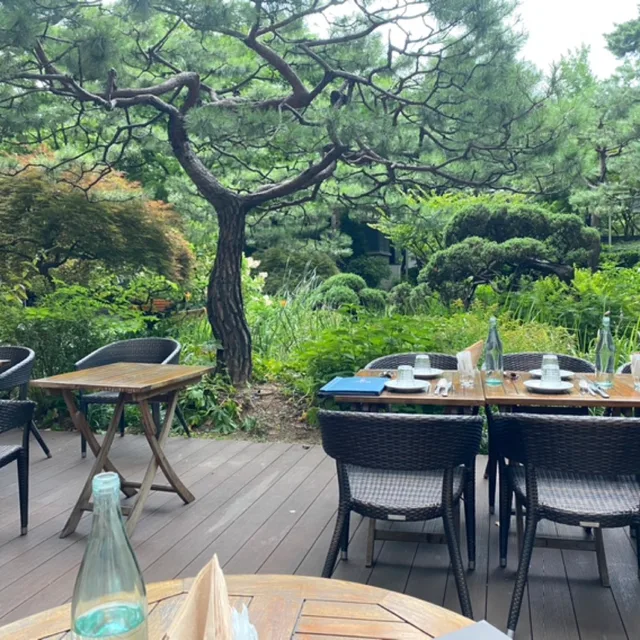 로하이