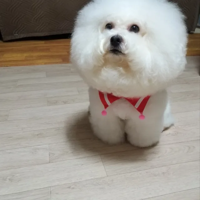 구르미