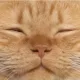 롸롸