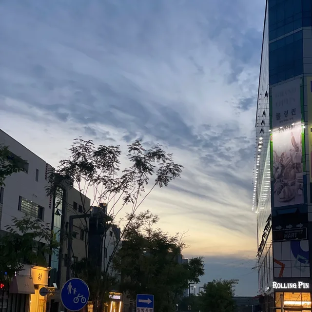 올리브