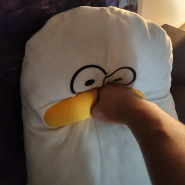 한한한