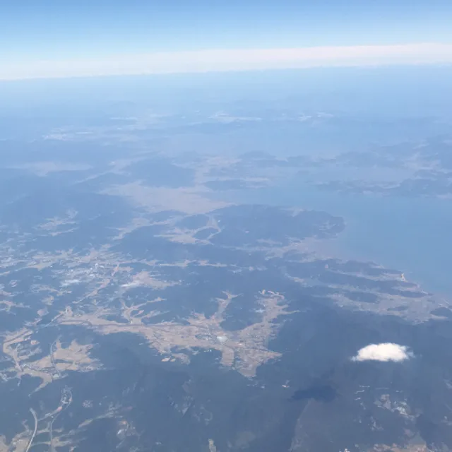 행복한당근이