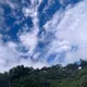 달래쓰