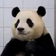 바옹
