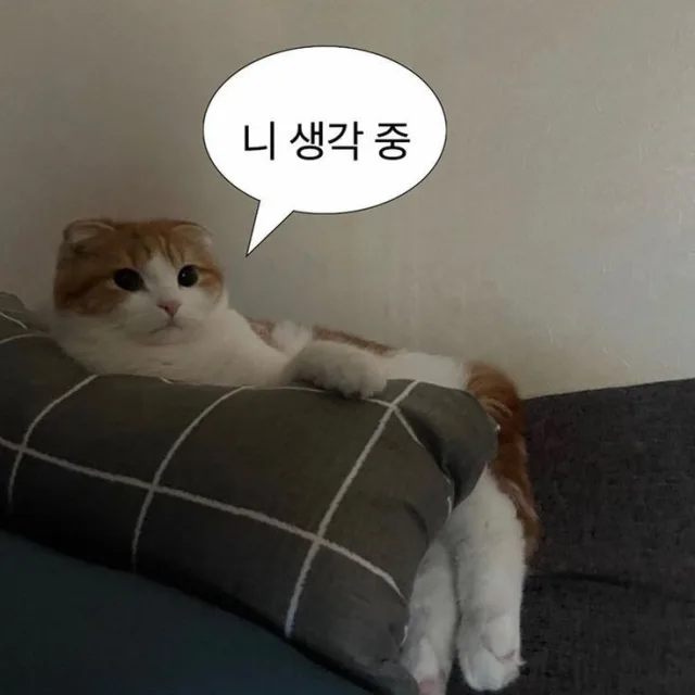 안녕하시와요