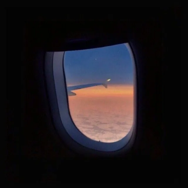도라지볶음면