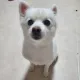 우리