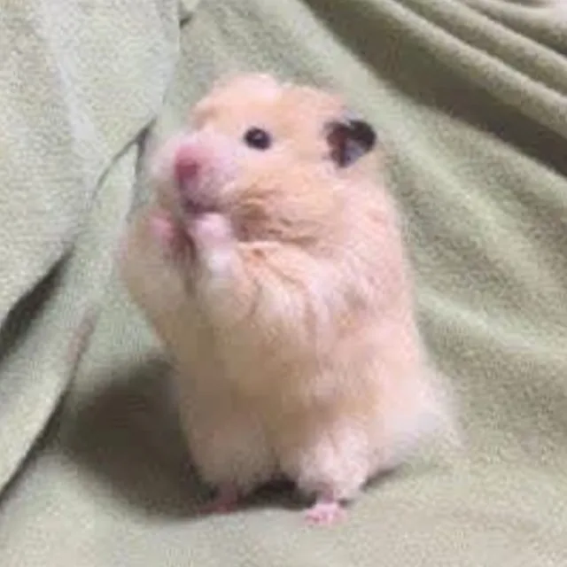 다람찍