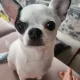 따뜻한당근러