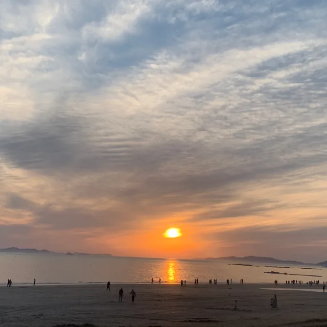 나비