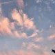 캐럿당근
