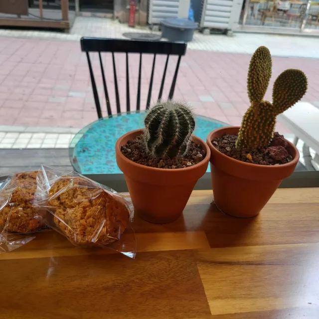 다누림