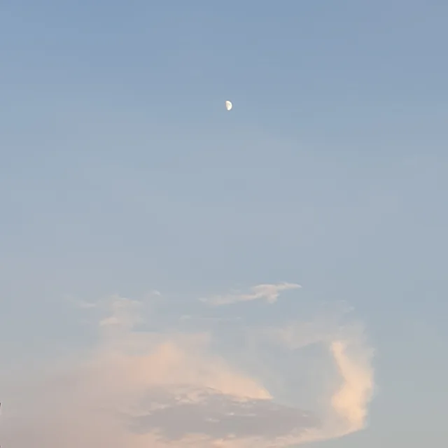 부리나케