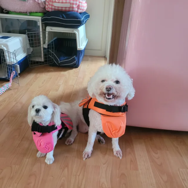 인천시민
