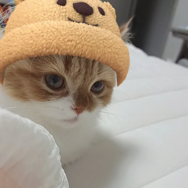 쭌담맘