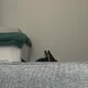 땅땅이