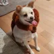 멍스