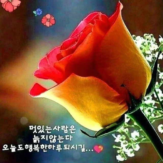 박튜브비와찻잔사이