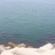 레오