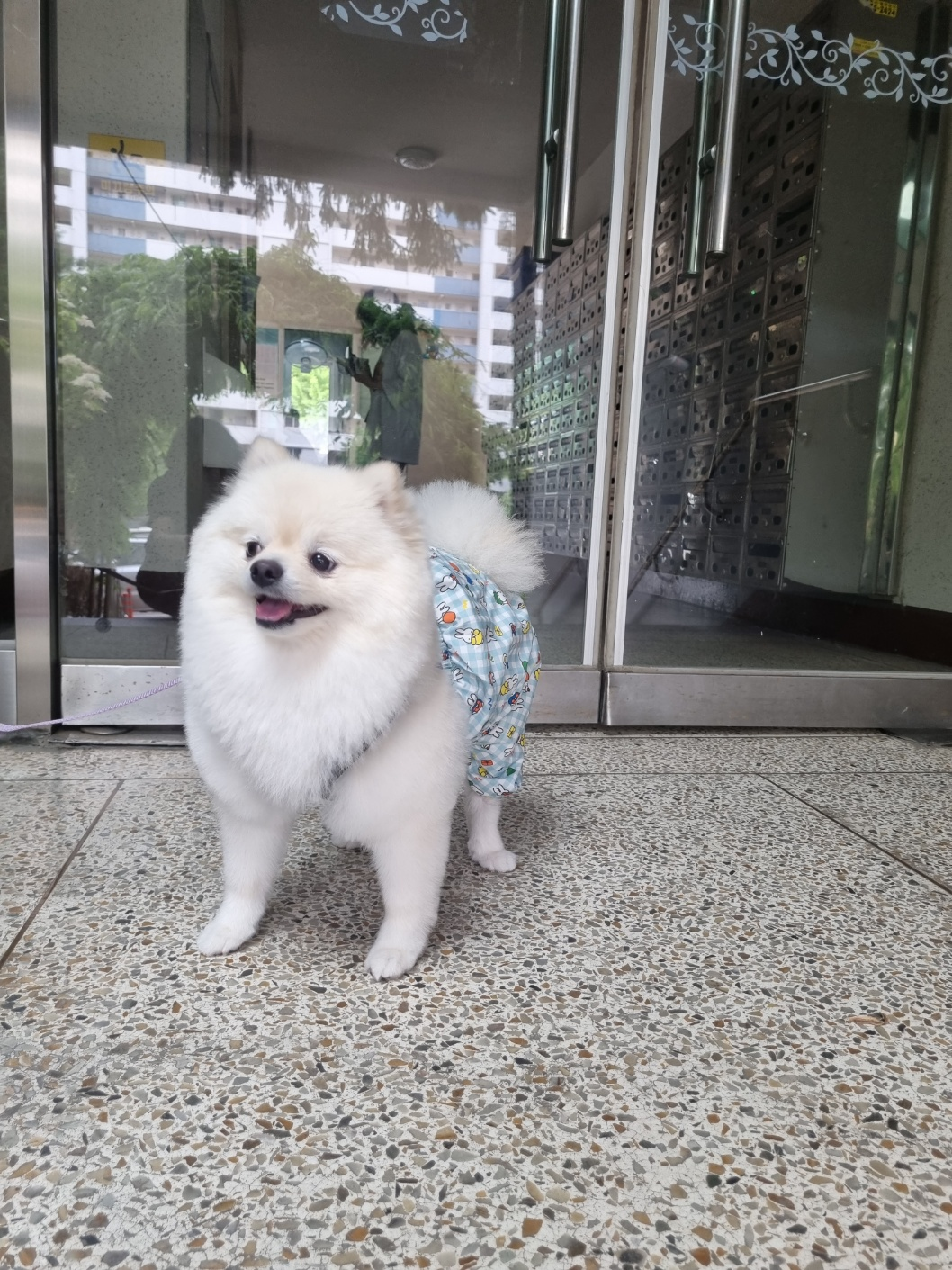 뭉치
