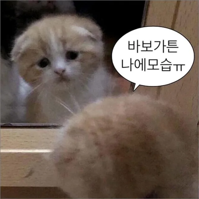 qorhvk