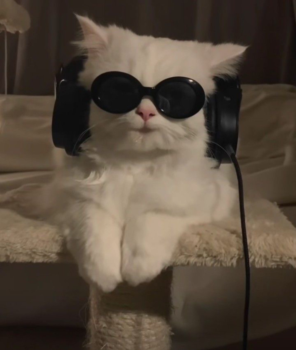 아보