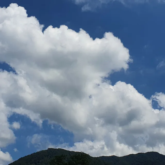 하늘