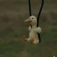 쿨거가제일조아