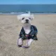 꼬끄맘
