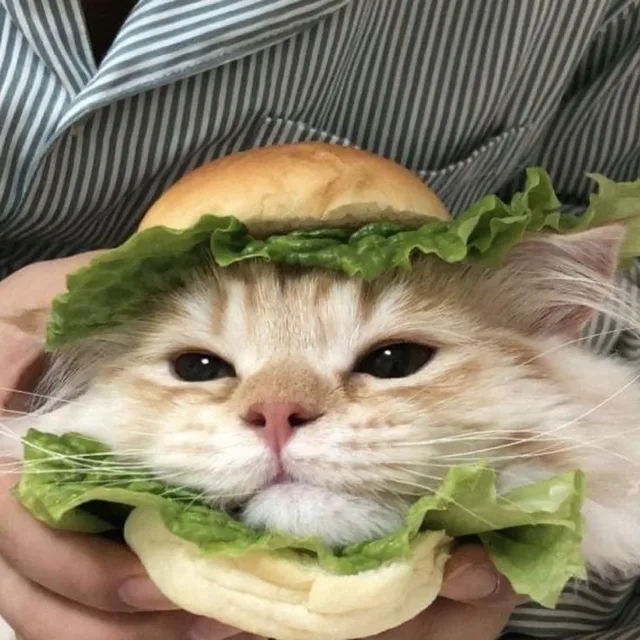 하잉