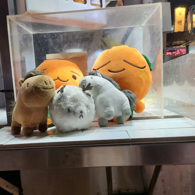 쏘이타카