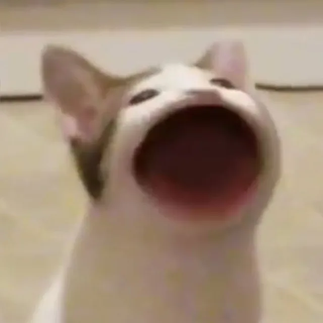 냐암