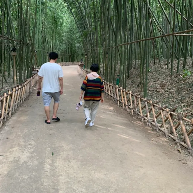 금전수