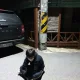 홍어