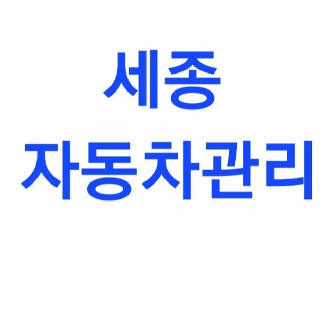 세종자동차관리