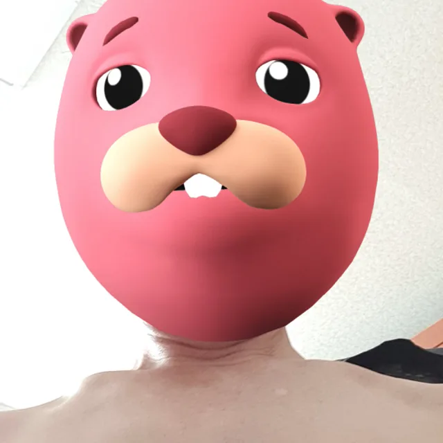 NF소나타