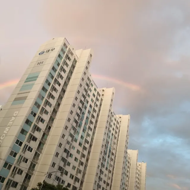거룩한꼬부기
