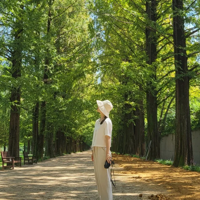 세잎클로버상점
